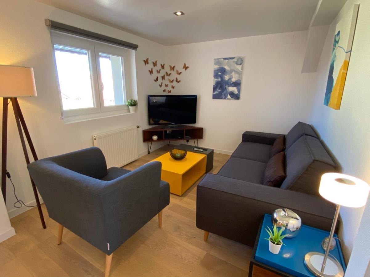 Apartment Duplex Le 12 - Avec Terrasse Dans Le Vignoble - 5 Mn Du Centre De Colmar Wettolsheim