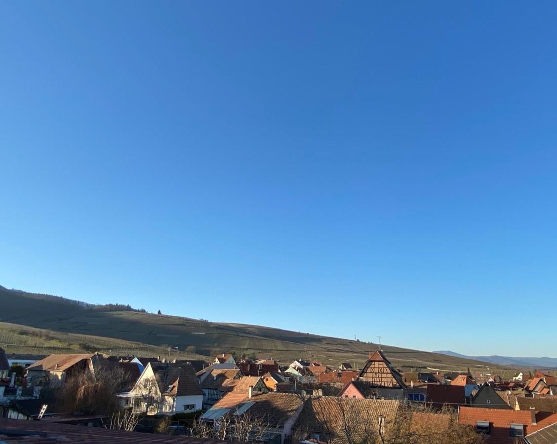 Apartment Duplex Le 12 - Avec Terrasse Dans Le Vignoble - 5 Mn Du Centre De Colmar Wettolsheim